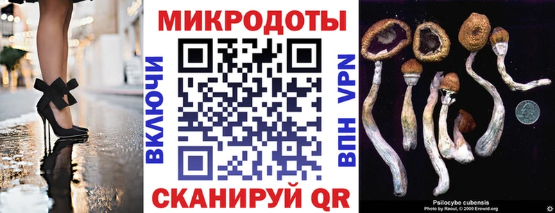 Псилоцибиновые грибы Psilocybine cubensis  Зверево 